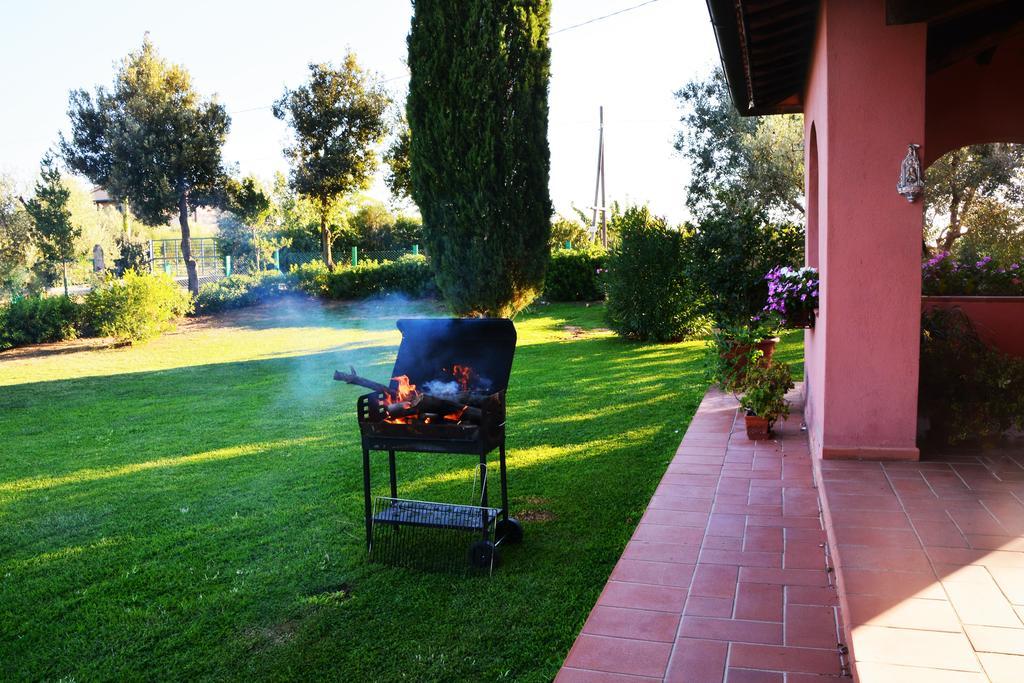 Agriturismo L'Aquilone Magliano in Toscana Eksteriør bilde