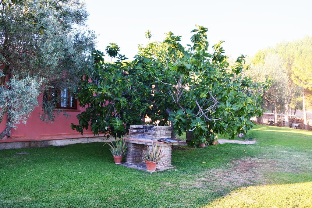 Agriturismo L'Aquilone Magliano in Toscana Eksteriør bilde