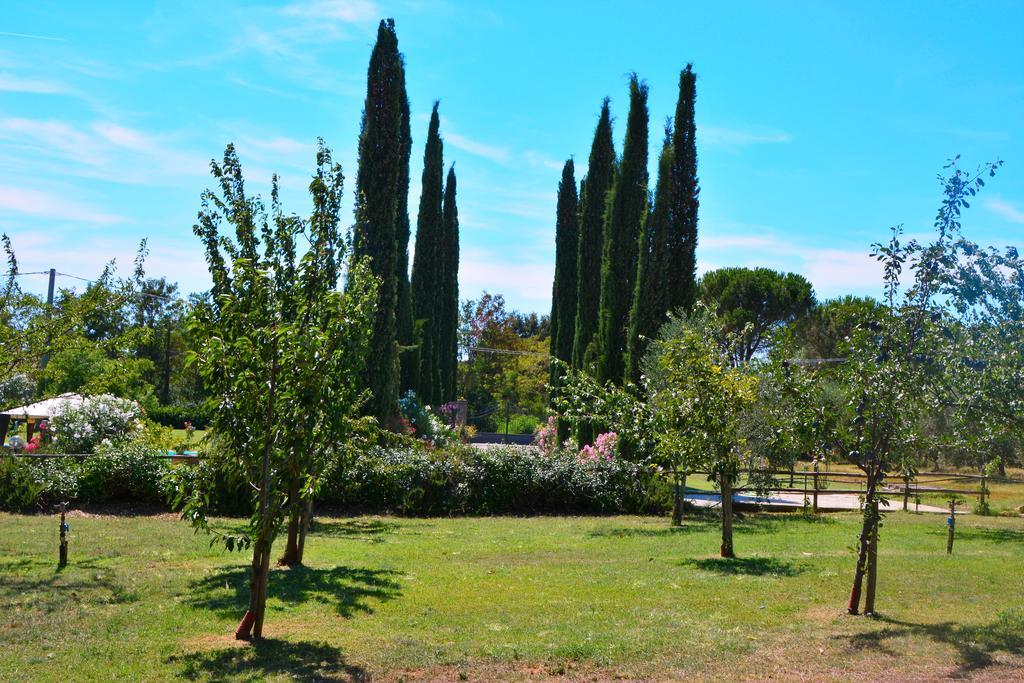 Agriturismo L'Aquilone Magliano in Toscana Eksteriør bilde