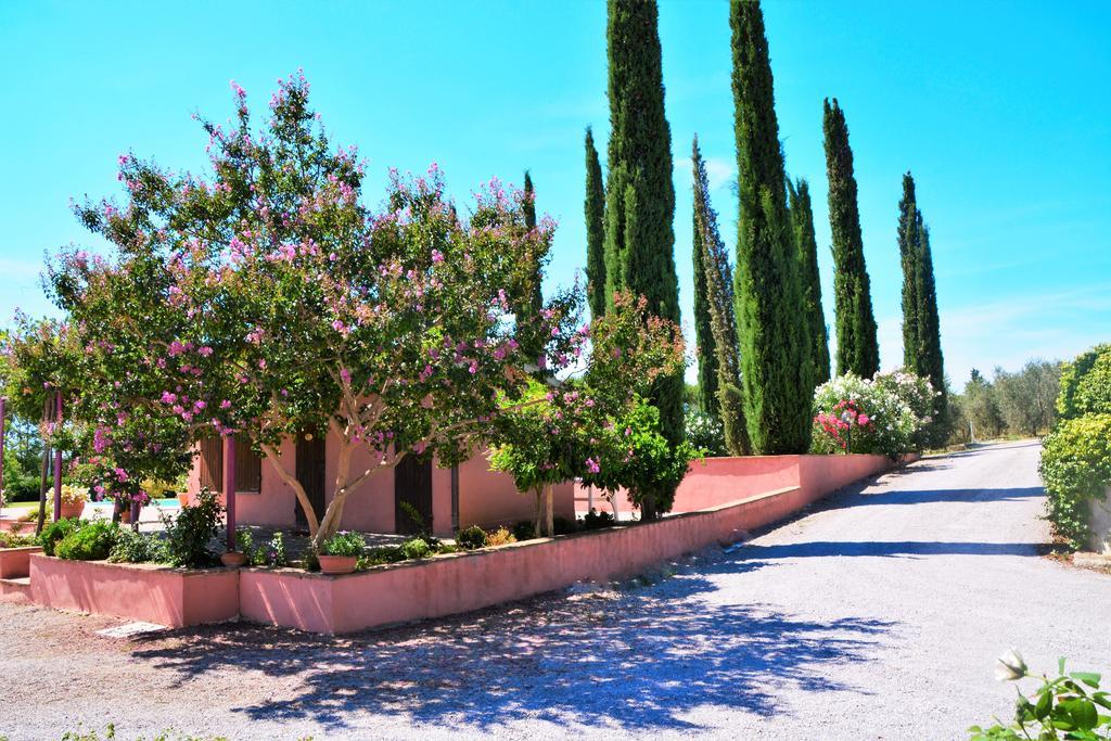 Agriturismo L'Aquilone Magliano in Toscana Eksteriør bilde