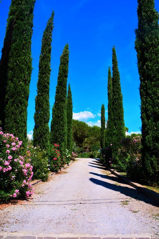 Agriturismo L'Aquilone Magliano in Toscana Eksteriør bilde