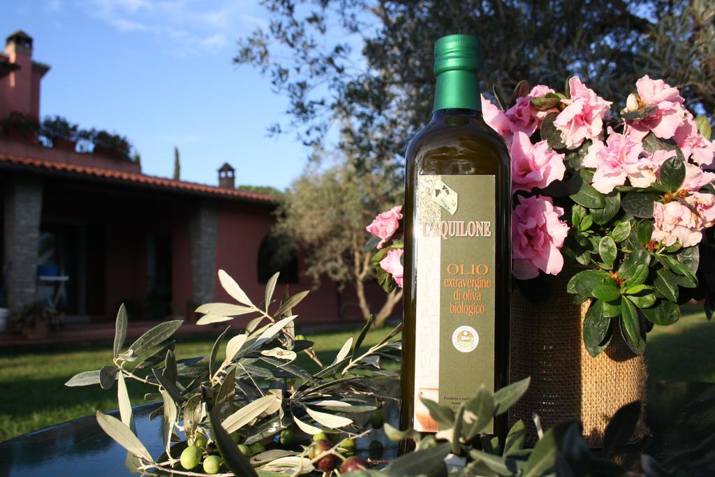 Agriturismo L'Aquilone Magliano in Toscana Eksteriør bilde