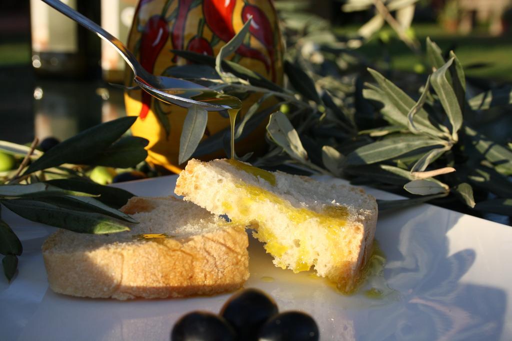 Agriturismo L'Aquilone Magliano in Toscana Eksteriør bilde