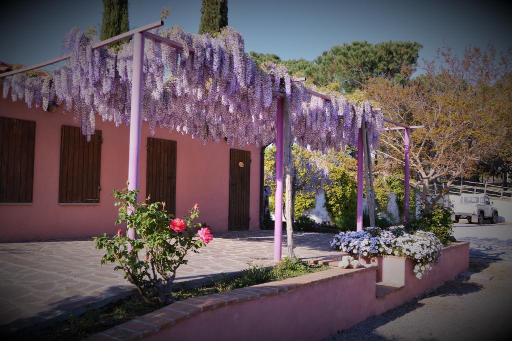 Agriturismo L'Aquilone Magliano in Toscana Eksteriør bilde