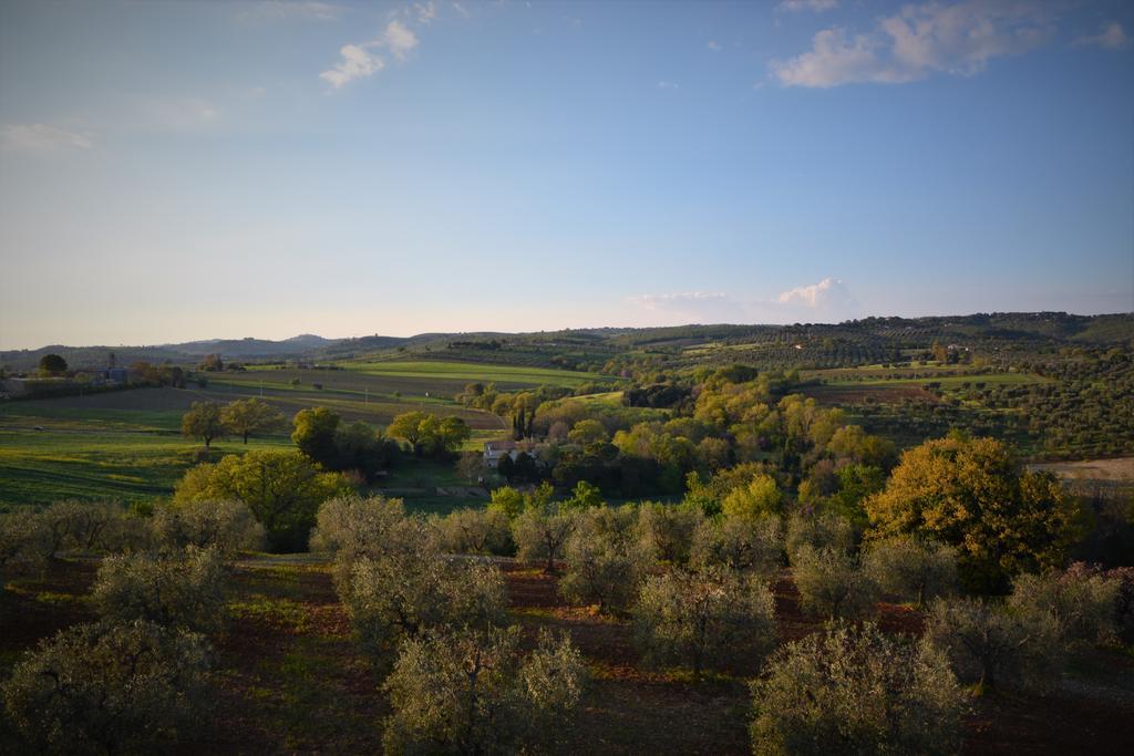Agriturismo L'Aquilone Magliano in Toscana Eksteriør bilde