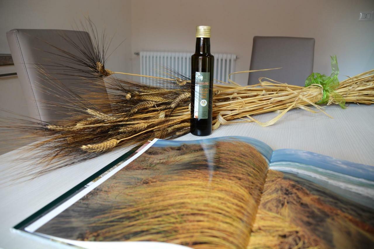 Agriturismo L'Aquilone Magliano in Toscana Eksteriør bilde